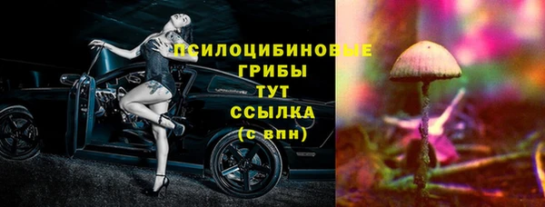 дживик Медногорск