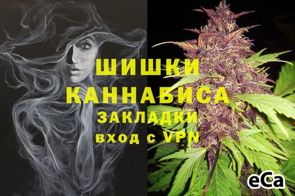 дживик Медногорск
