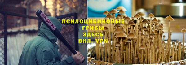 ГАЛЛЮЦИНОГЕННЫЕ ГРИБЫ Медвежьегорск