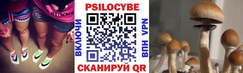 Псилоцибиновые грибы Psilocybine cubensis  Нефтекамск 